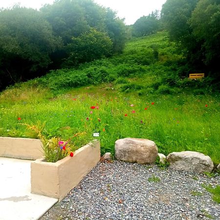 Donegal Cottage ドネゴール エクステリア 写真