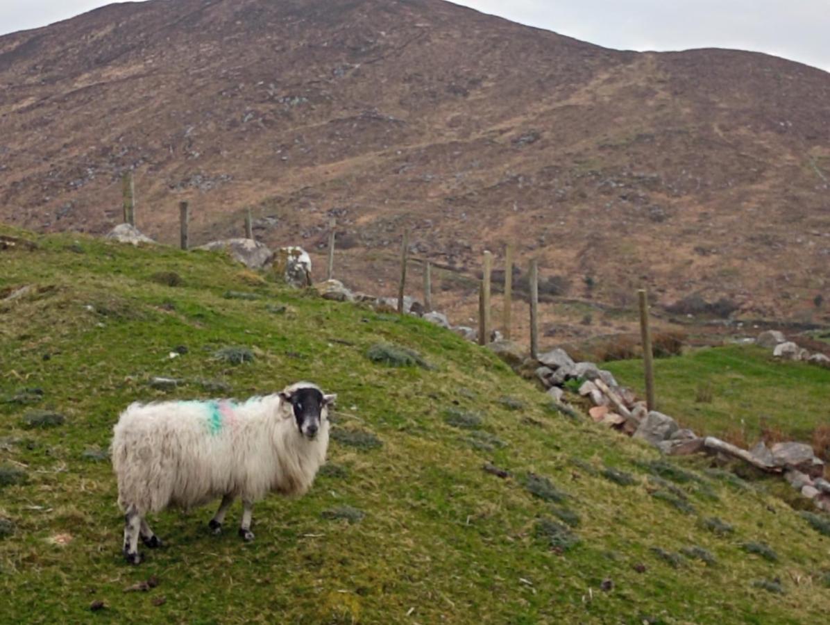 Donegal Cottage ドネゴール エクステリア 写真