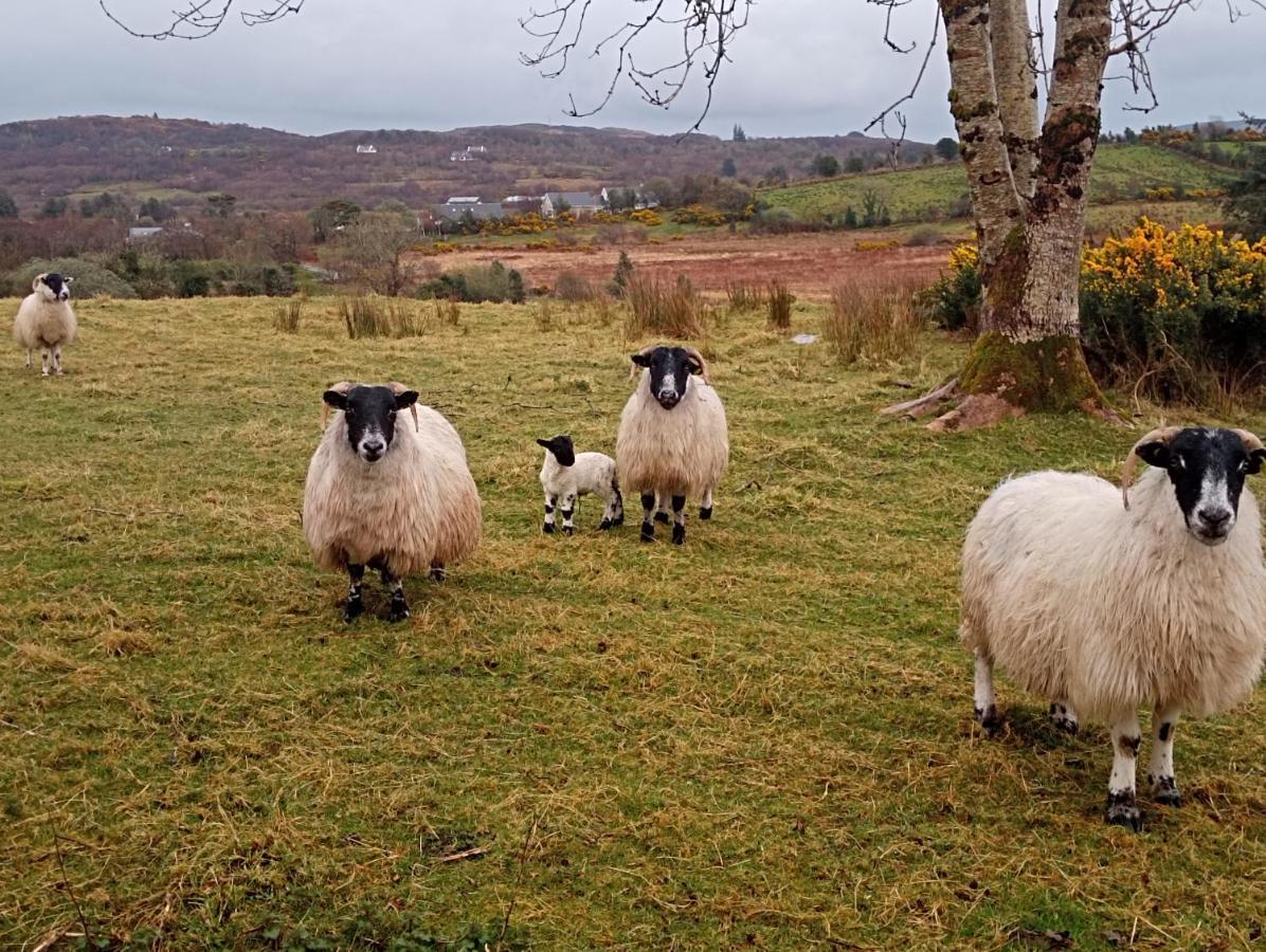 Donegal Cottage ドネゴール エクステリア 写真