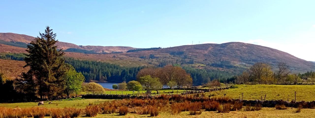 Donegal Cottage ドネゴール エクステリア 写真