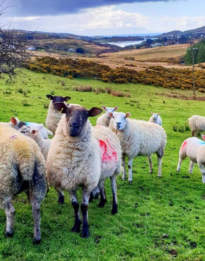 Donegal Cottage ドネゴール エクステリア 写真