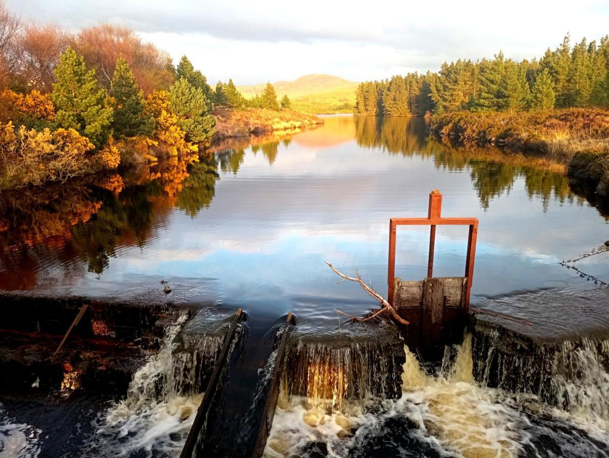 Donegal Cottage ドネゴール エクステリア 写真