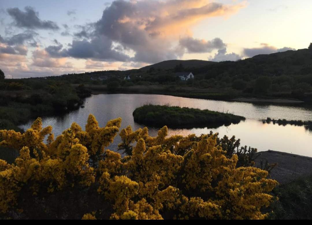 Donegal Cottage ドネゴール エクステリア 写真