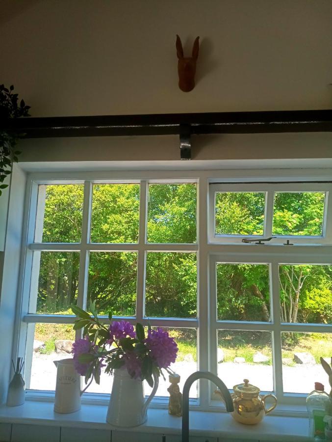 Donegal Cottage ドネゴール エクステリア 写真