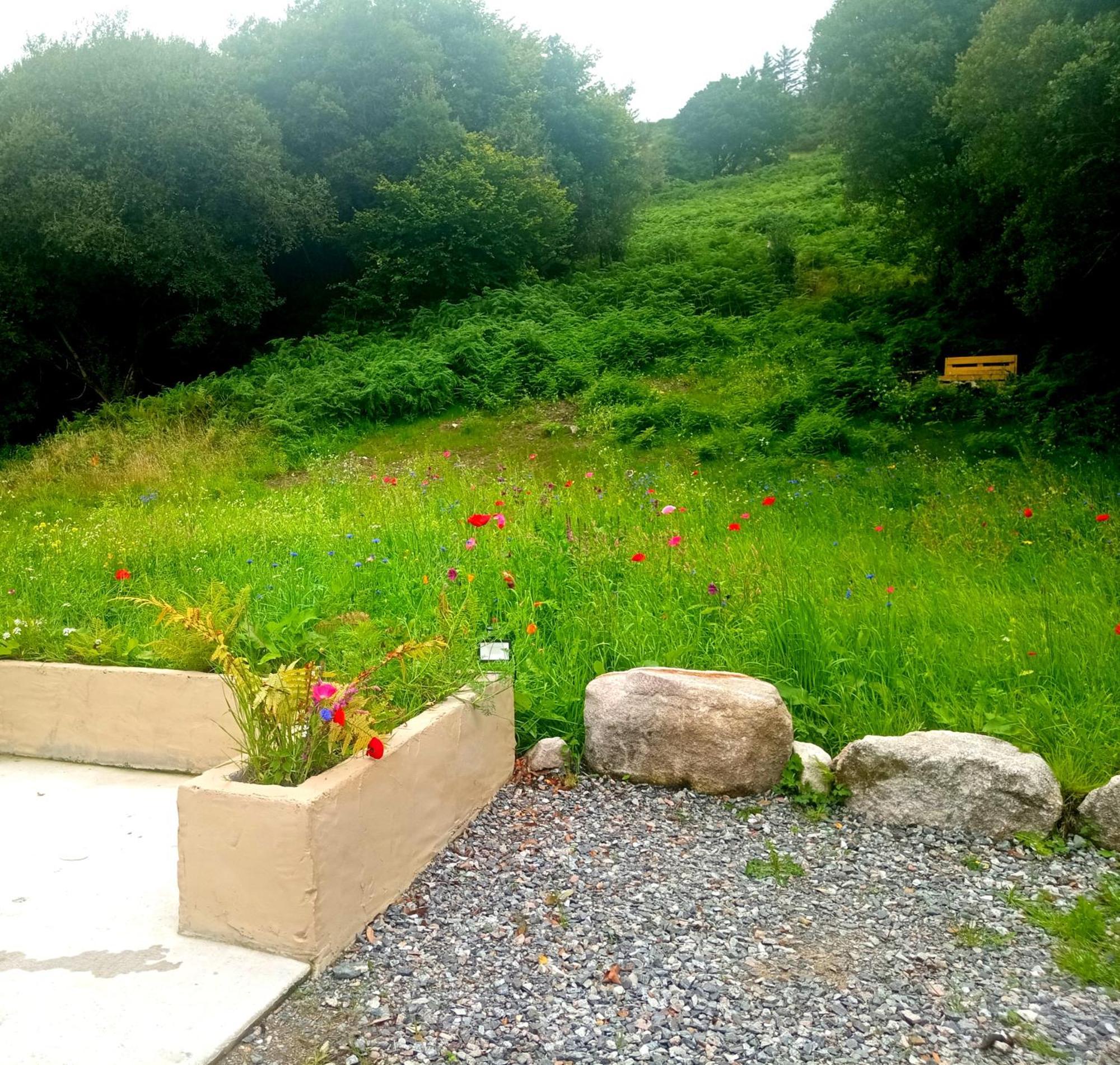 Donegal Cottage ドネゴール エクステリア 写真